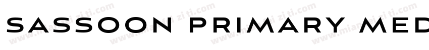 sassoon primary medium italic字体转换